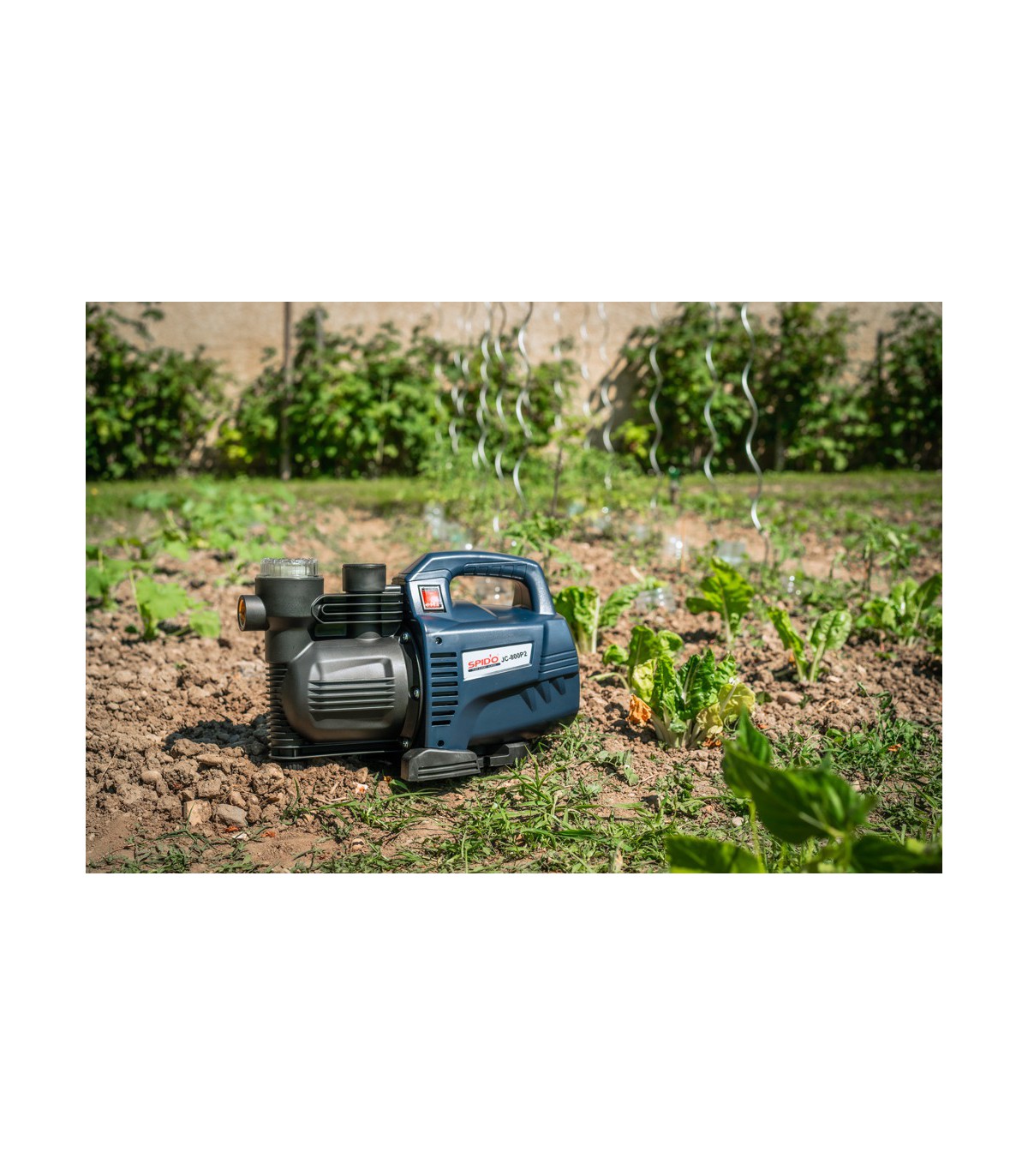 Groupe de surpression avec réservoir Spid'O Classic GC 800I 24H5 : Arroser  mon jardin, pompes Spido