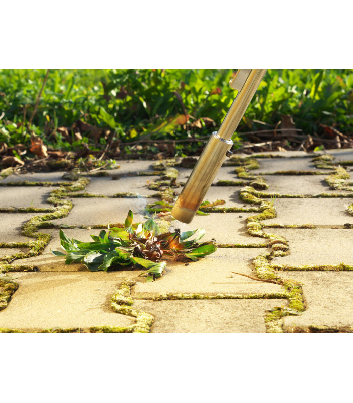 Désherbeur thermique (fourni avec une cartouche de gaz)