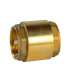 Clapet anti-retour laiton FF 50/60
