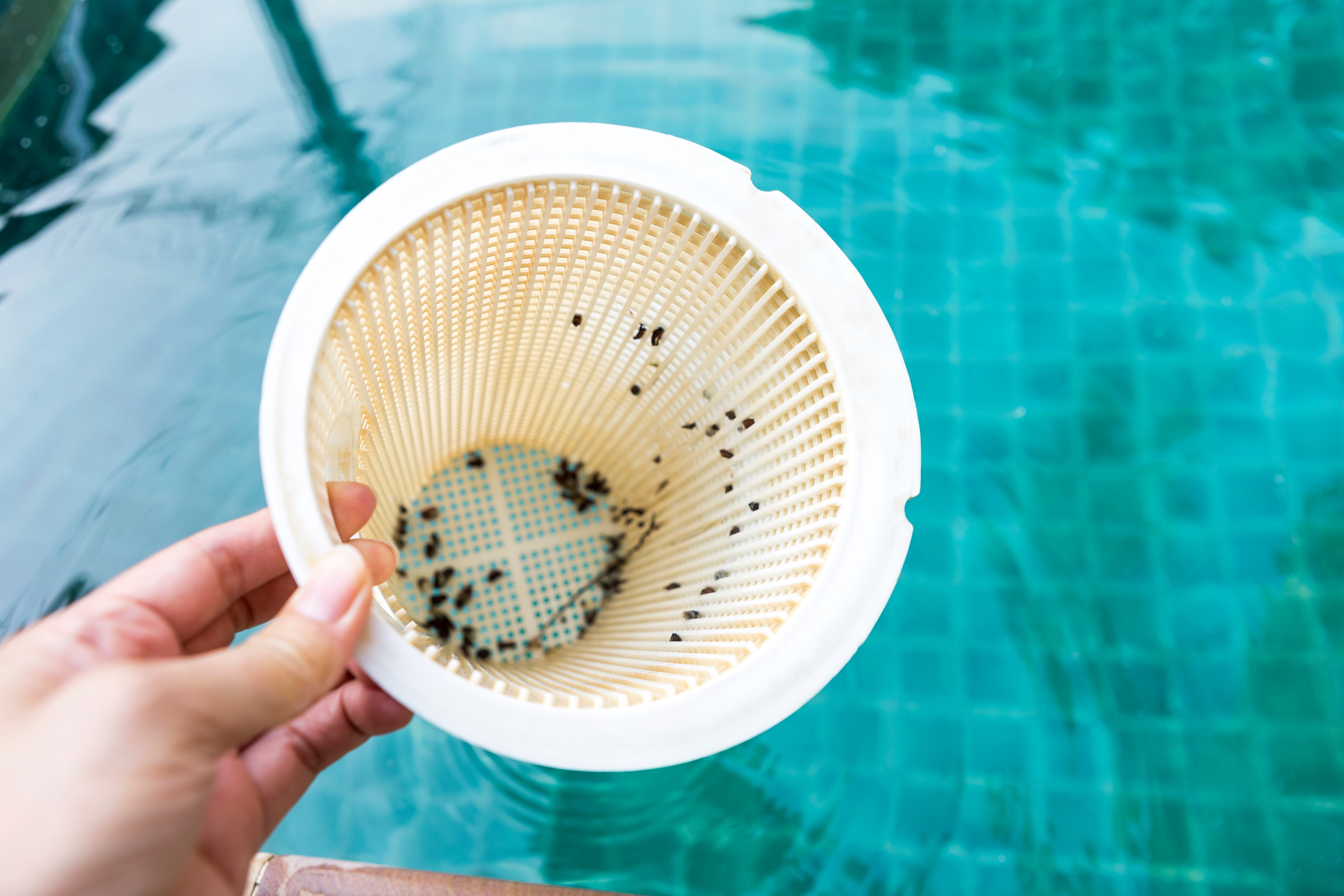 Maintenance pompe piscine